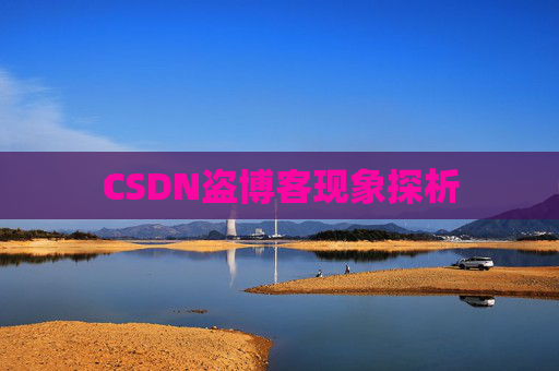 CSDN盗博客现象探析